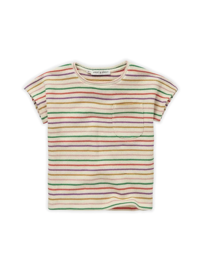 T-shirt Stripes – Pear