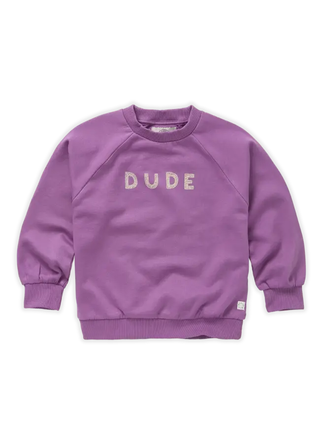 Sweatshirt raglan Dude – Purple