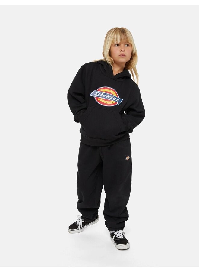 Dickies - Icon logo hoodie – Black