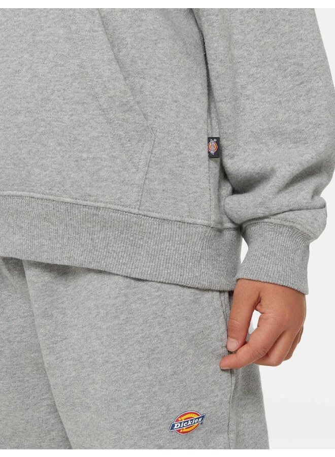 Dickies - Icon logo hoodie – Heather grey