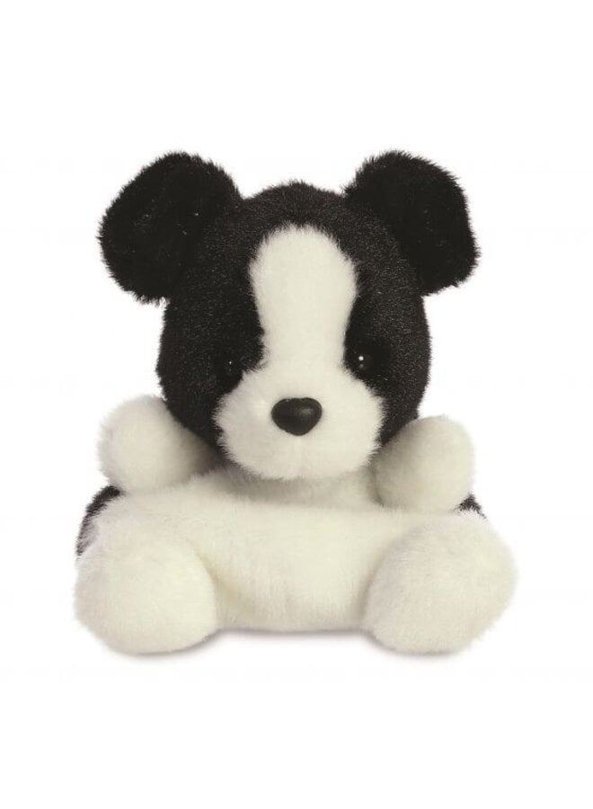 Border collie 13 cm