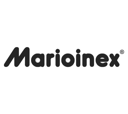 Marioinex