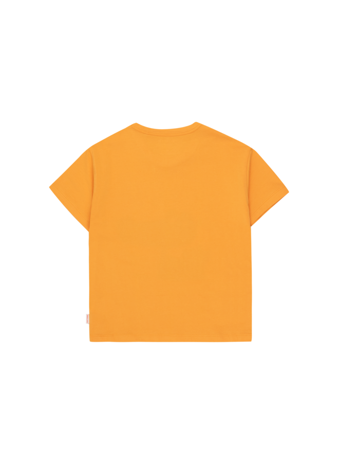 Tiny Cottons - Mississippi tee – Orange