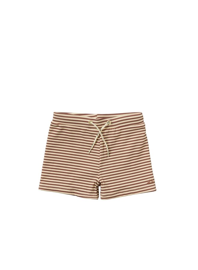 Rib Stripe Scott - Carob Brown