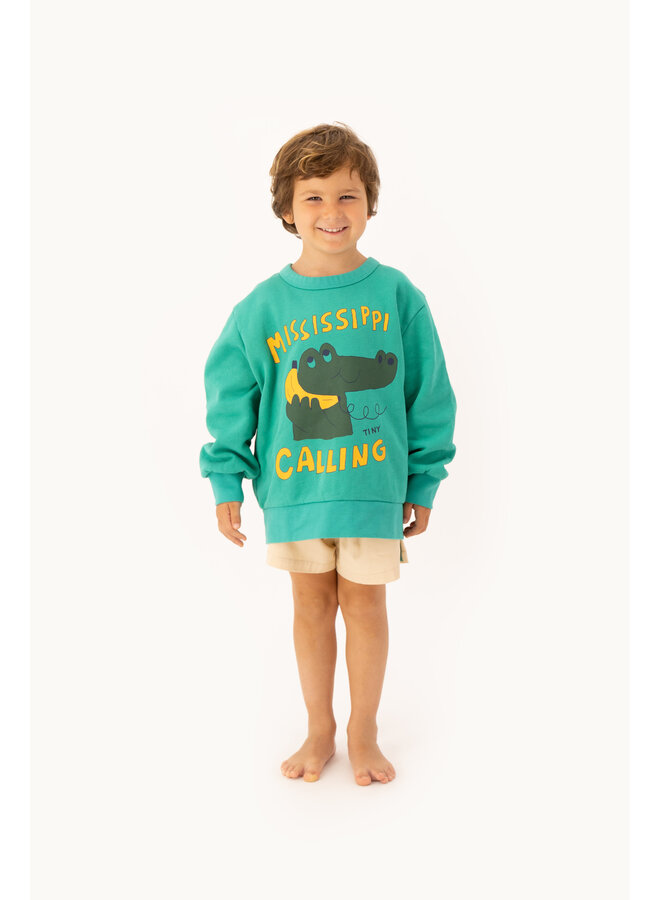 Tiny Cottons - Mississippi sweatshirt – Emerald