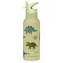 A Little Lovely Company - XL RVS drinkfles – Dinosaurussen