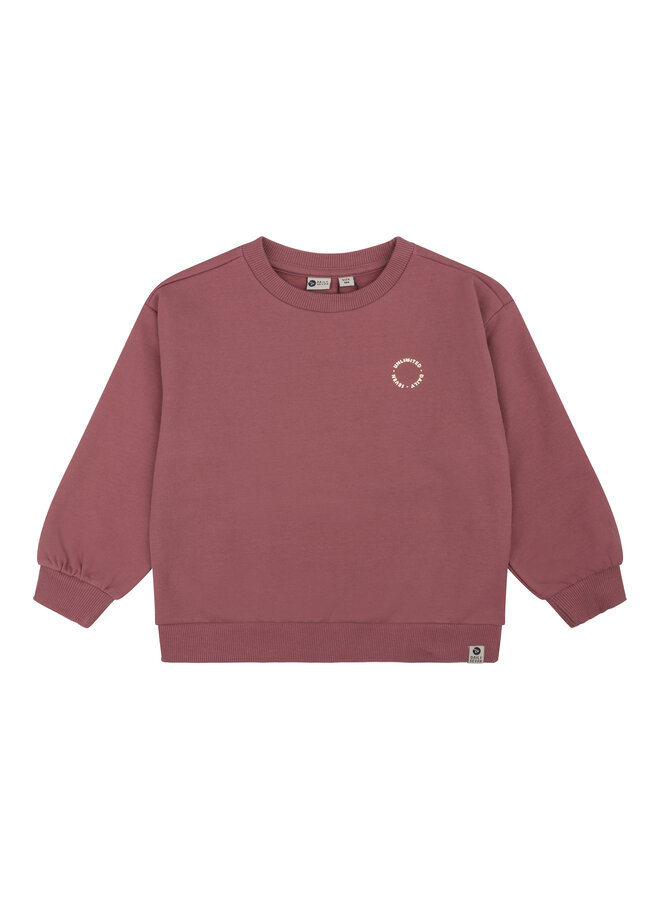 Daily7 - Sweater oversized backprint - Barn bordeaux