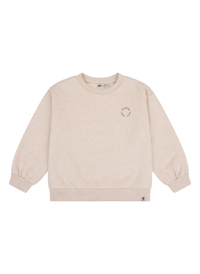 Daily7 - Sweater oversized backprint - Beige melange