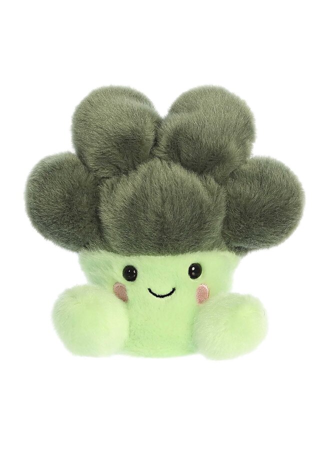 Broccoli 13 cm