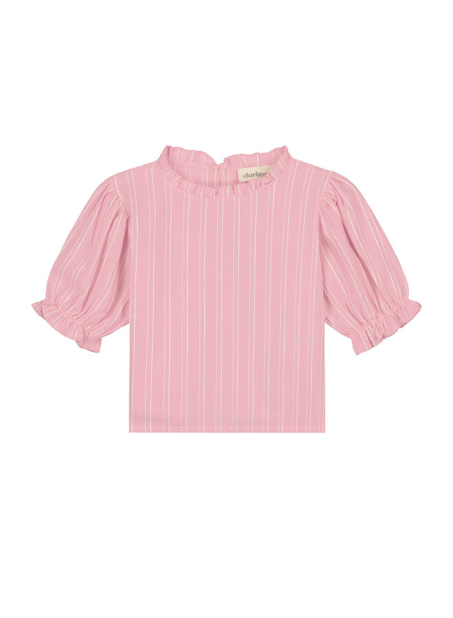 Charlie Petite - Isis top – Stripes pink/white