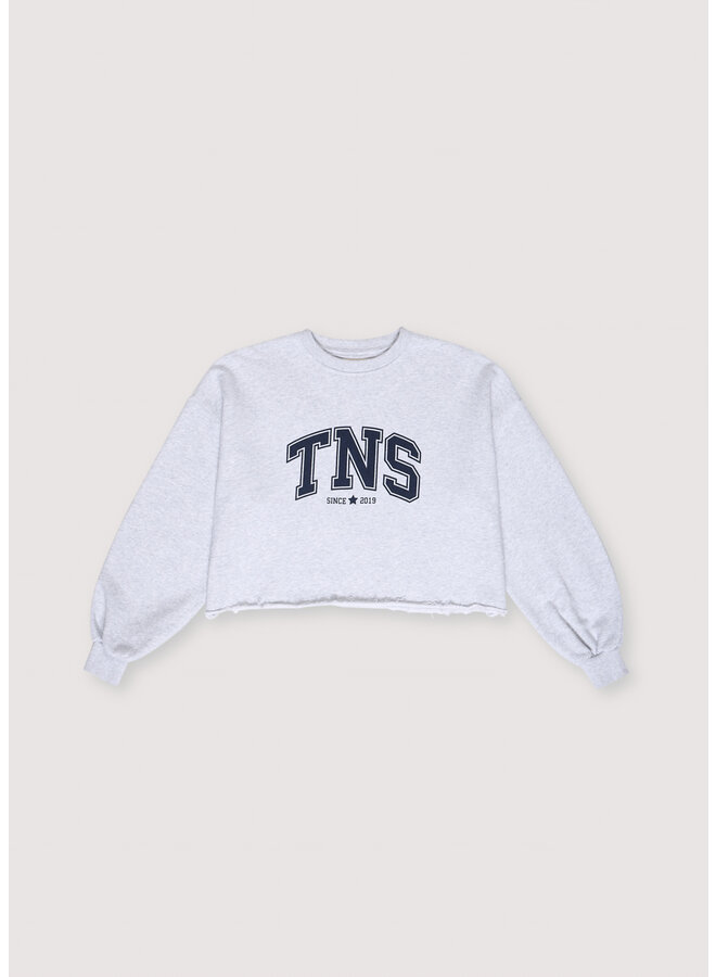 The New Society - Zoe teen sweatshirt - Grey melange