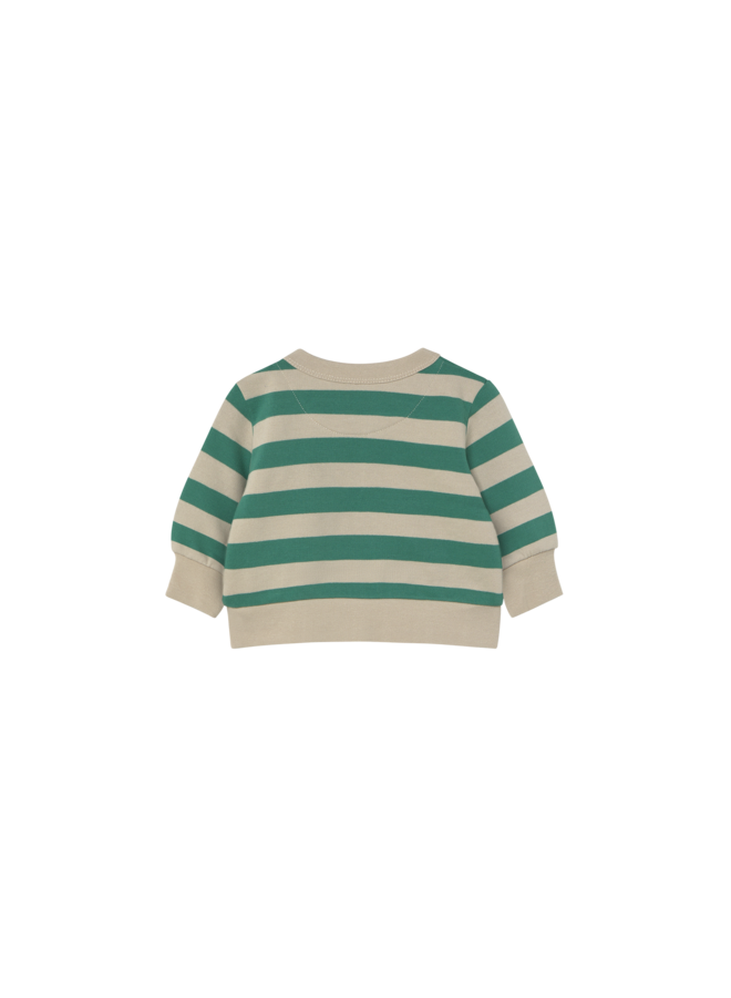 Tiny Cottons - Stripes baby sweatshirt - Dark emerald/Dark vanilla