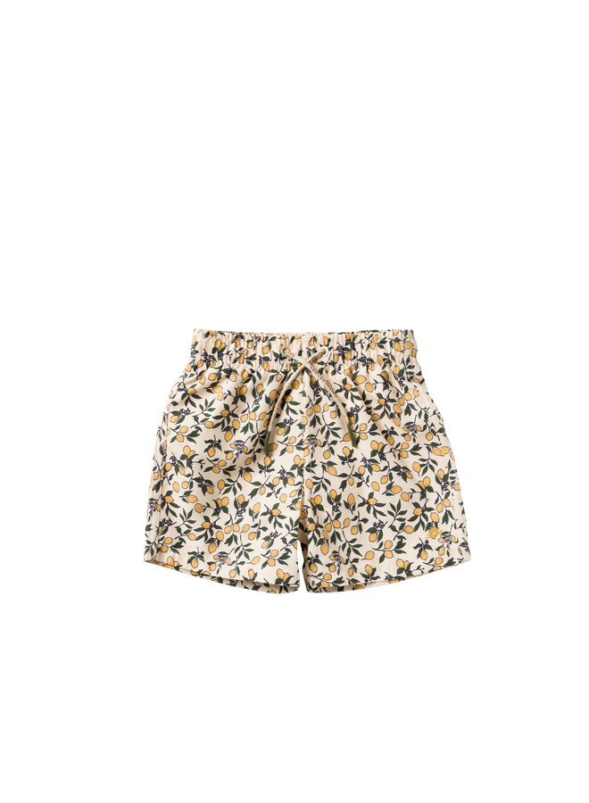 Swim shorts – Lemons