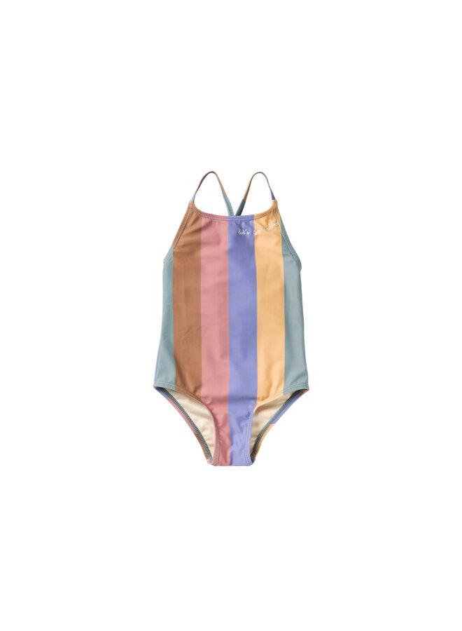 Swimsuit – Multi stripe