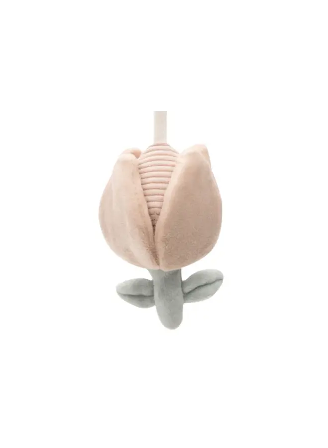 Jollein - Wagenspanner – Lovely birds