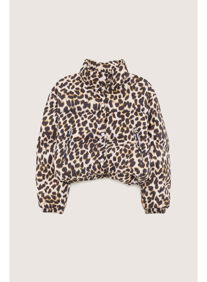 Hoover jacket - Combo A