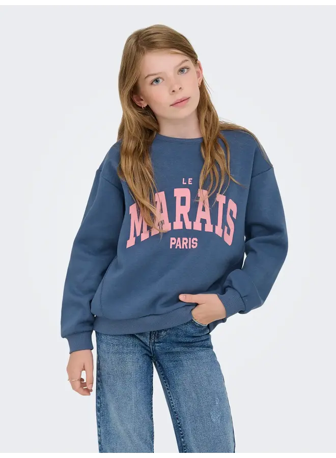 Kids Only - Marisa longsleeve printed sweater – Vintage indigo marais