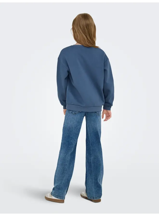 Kids Only - Marisa longsleeve printed sweater – Vintage indigo marais