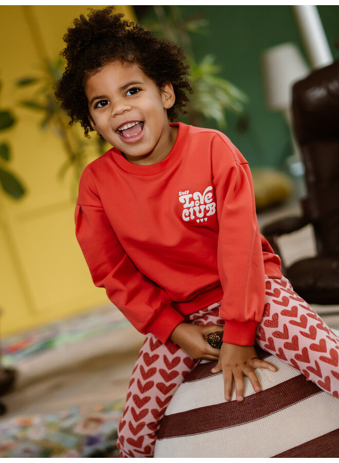 Daily7 - Sweater brushed print - Baked apple