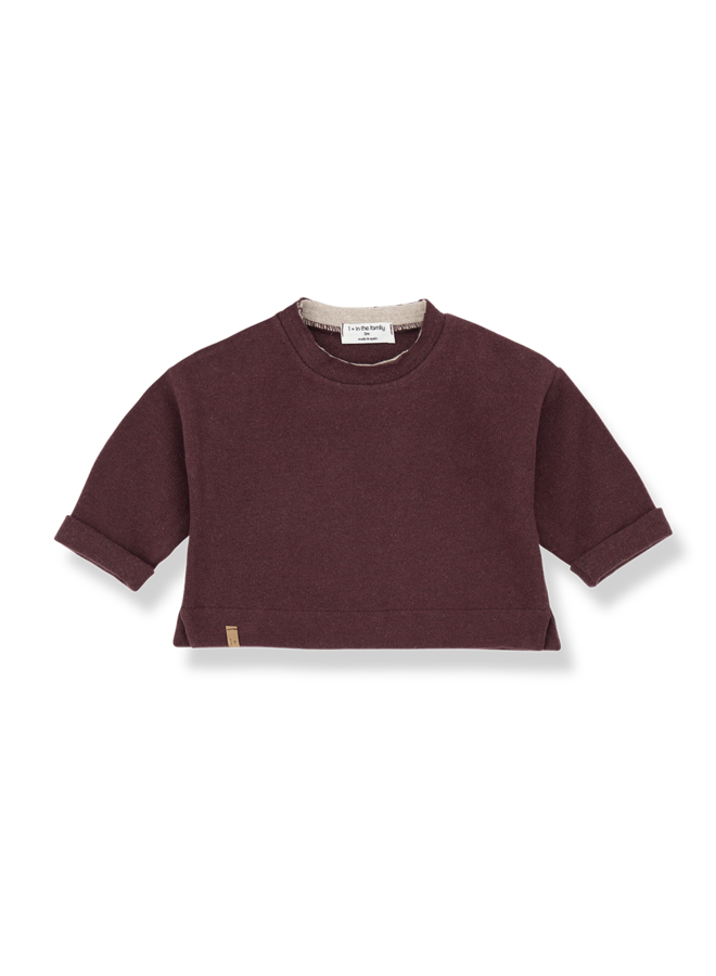 1+ in the family - Felix sweater - Melanzana