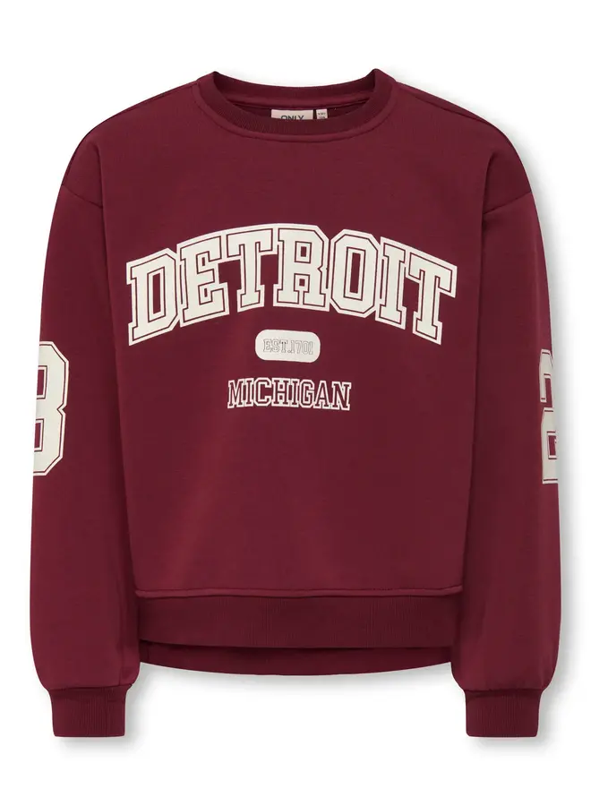 Kids Only - Victory longsleeve o-neck sweat – Cabernet detroit/Cloud dancer