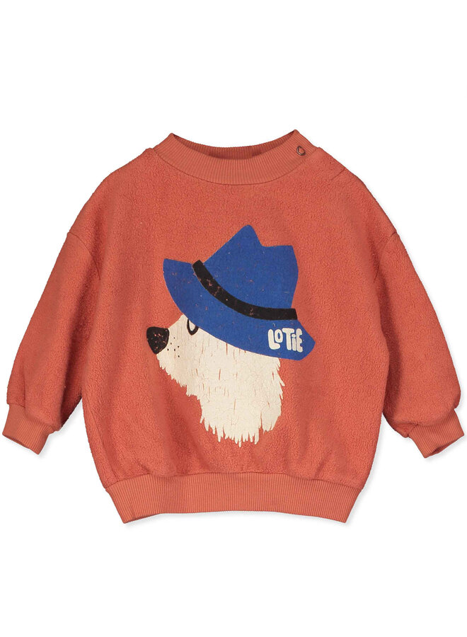 Teddy baby sweatshirt chill dog - Clay