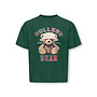 Kids Only - Billie ss loose teddy top - Pineneedle college/Hat nomad