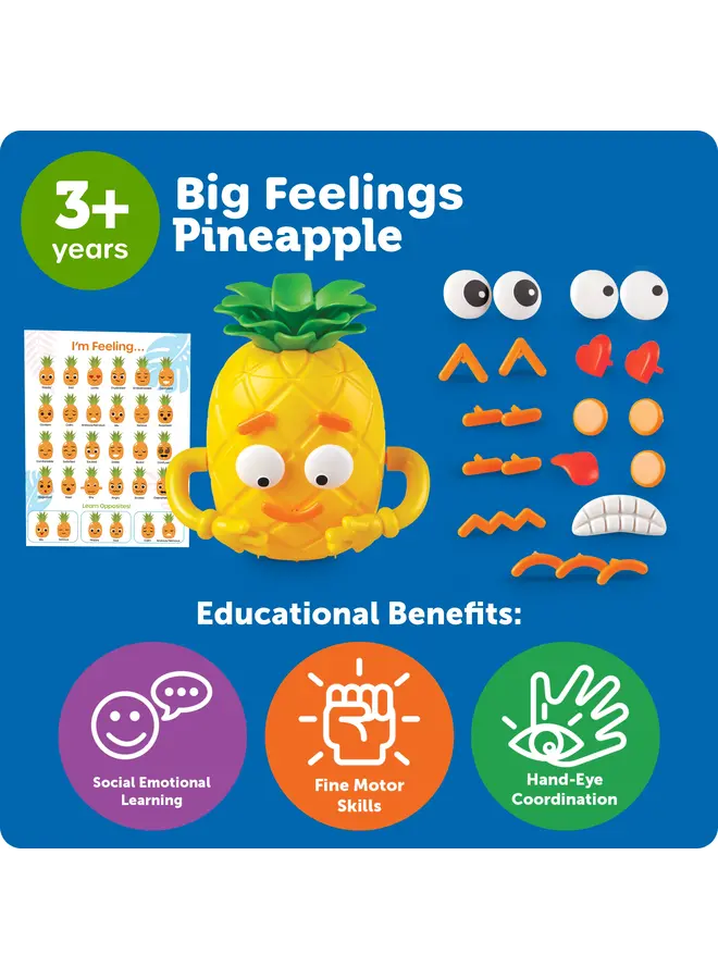 Learning Resources - Big Feelings Pineapple™