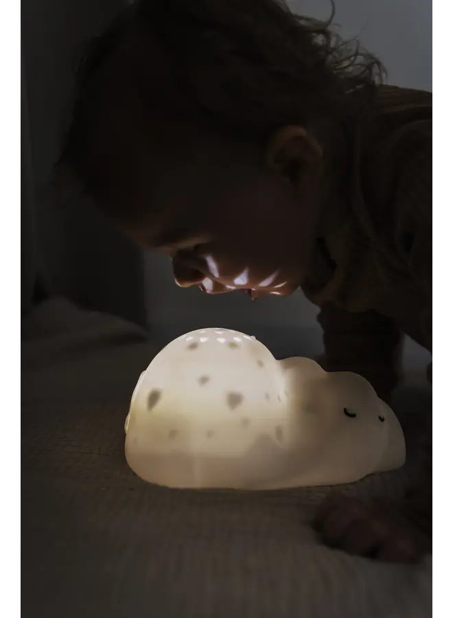 Flow Amsterdam - George – Projector