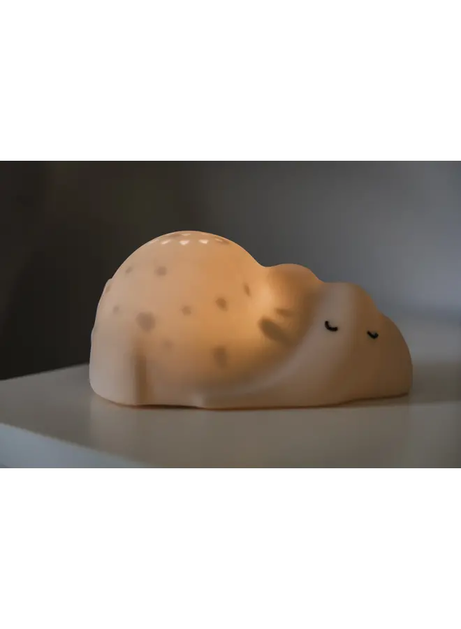 Flow Amsterdam - George – Projector