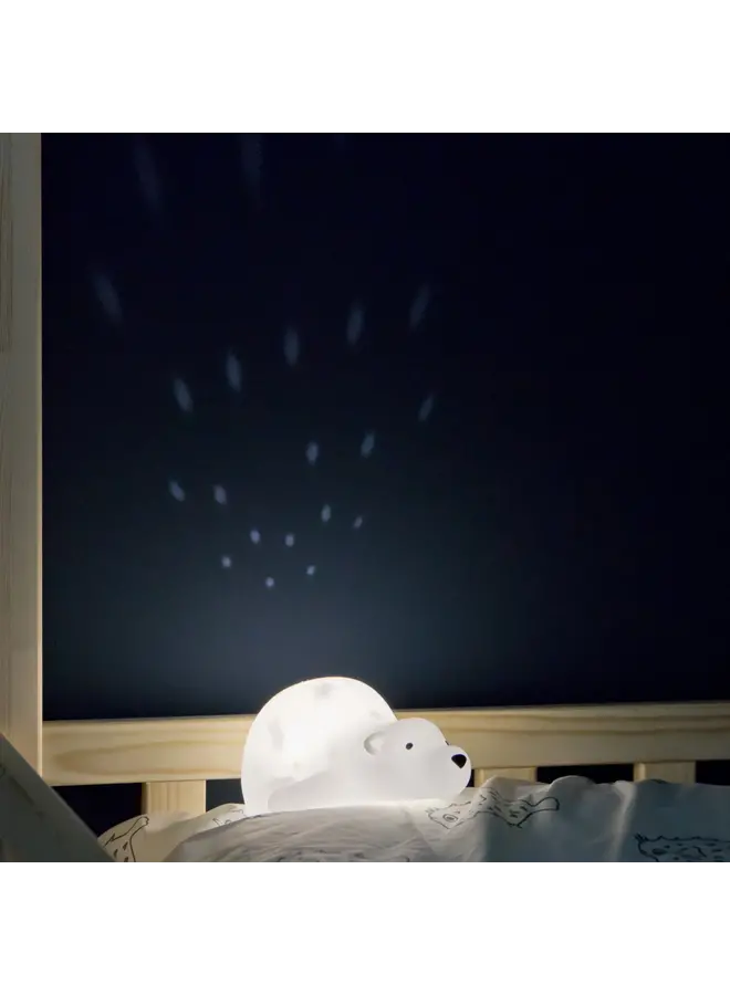 Björn – Projector