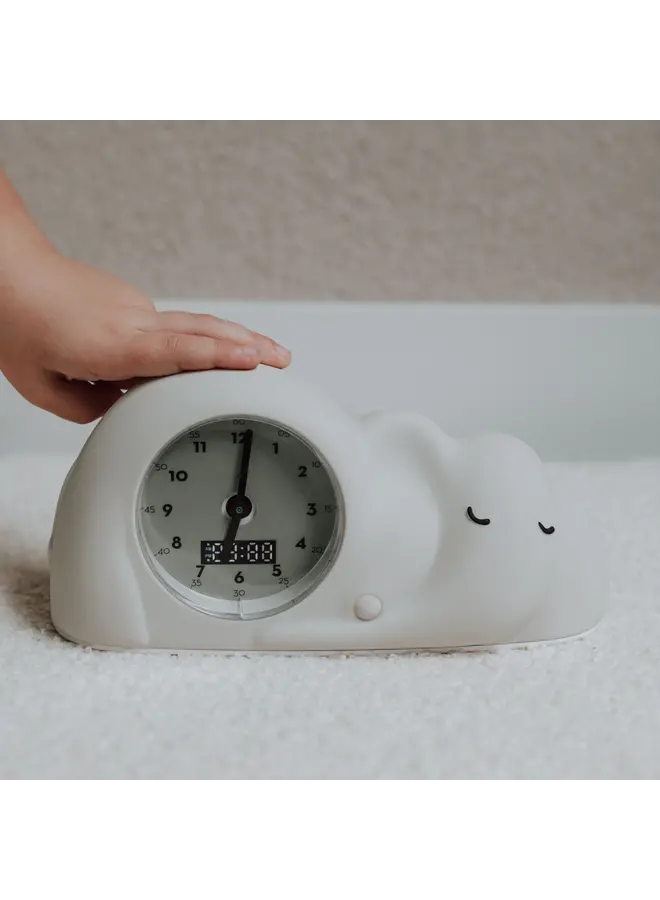 Flow Amsterdam - George sleeptrainer