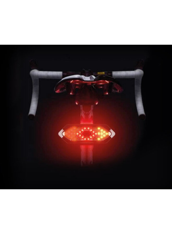 Satzuma - Bicycle indicators