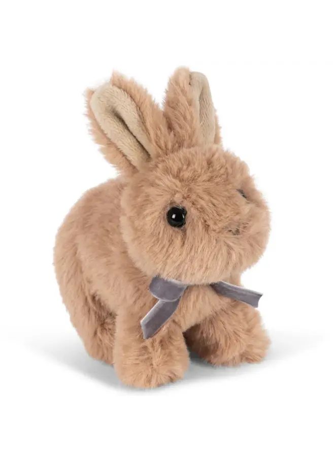 Baby animals - Brown bunny