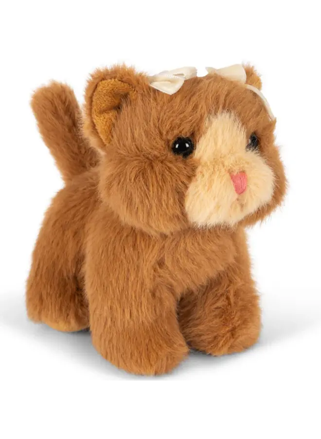 Baby animals - Brown cat