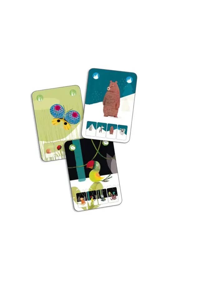 Djeco - Mini nature / Kwartet – DJ05128