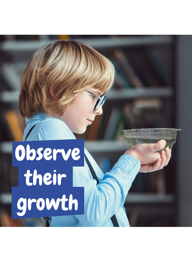 Science4you - Aqua creatures