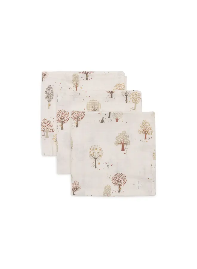 Hydrofiel monddoekje 31x31cm - Tiny park (3pack)