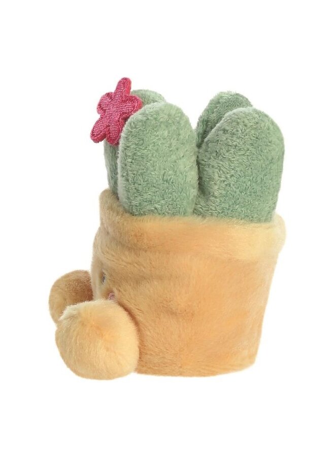 Palm Pals - Vetplant 13 cm