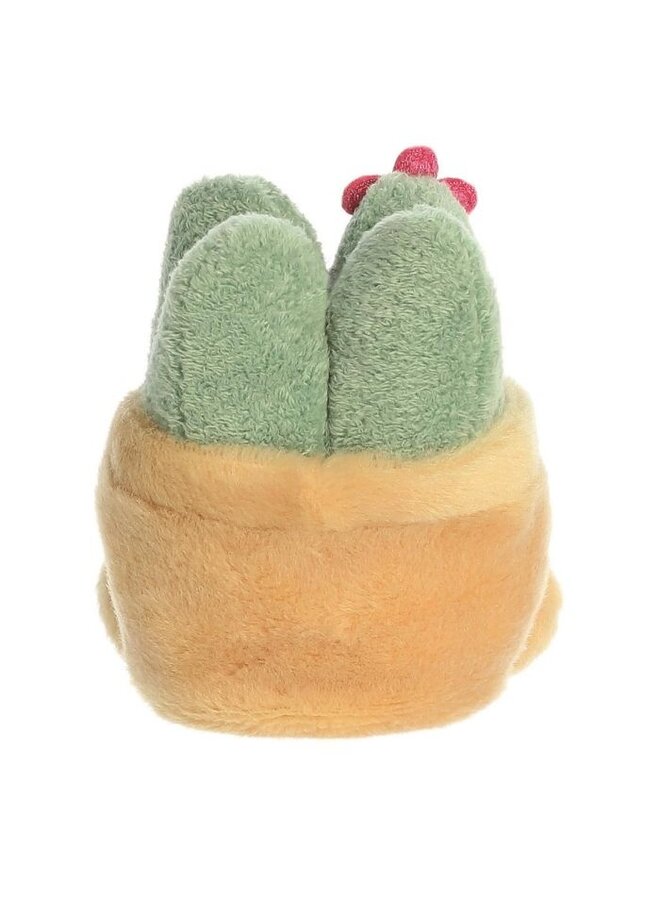 Palm Pals - Vetplant 13 cm