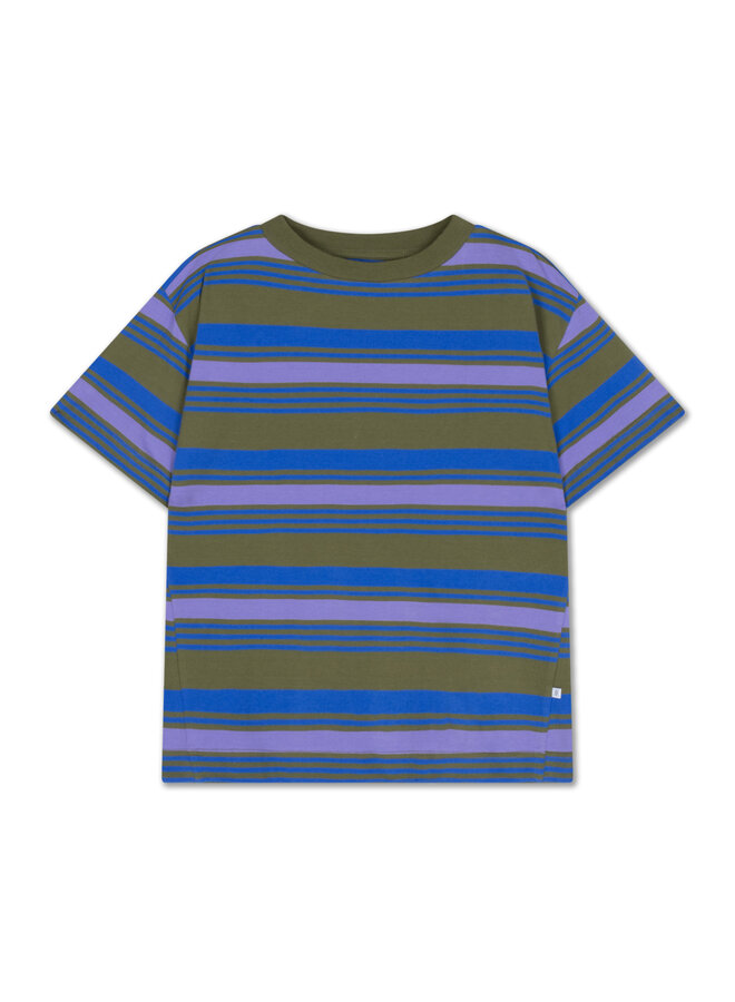 Tee shirt - Khaki bloom stripe