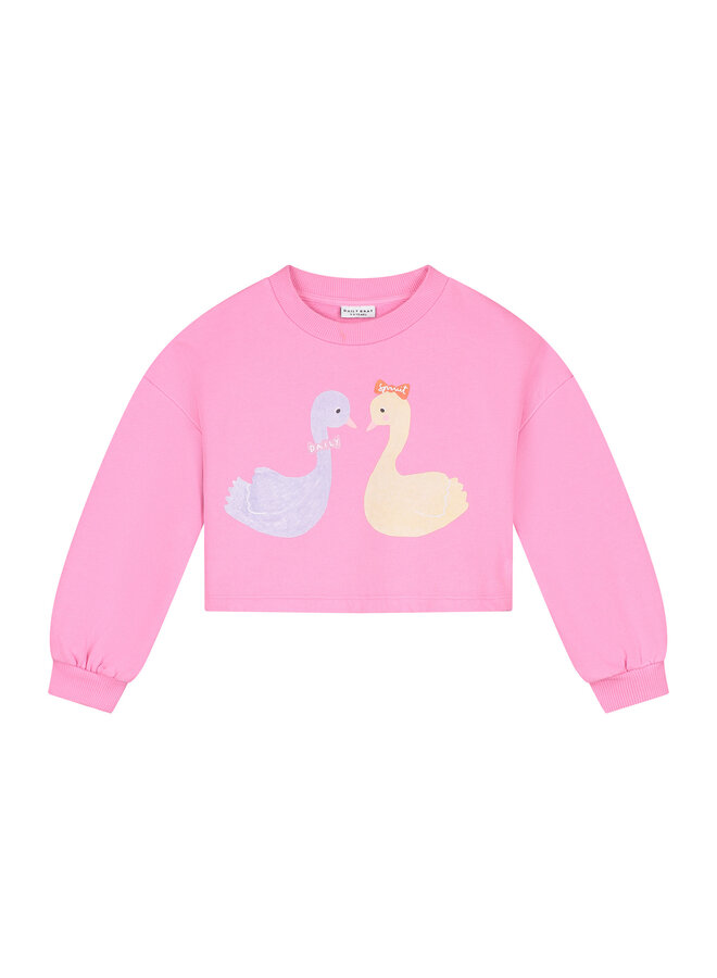 Daily Brat x Spruit - Sweater pinky Anne