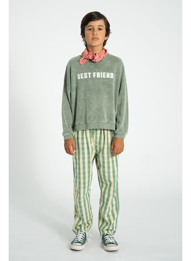 Piupiuchick - Sweatshirt - Washed green w/ "best friend" print