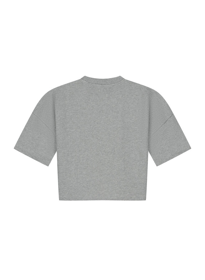 Charlie Petite - Esmee t-shirt - Grey melange