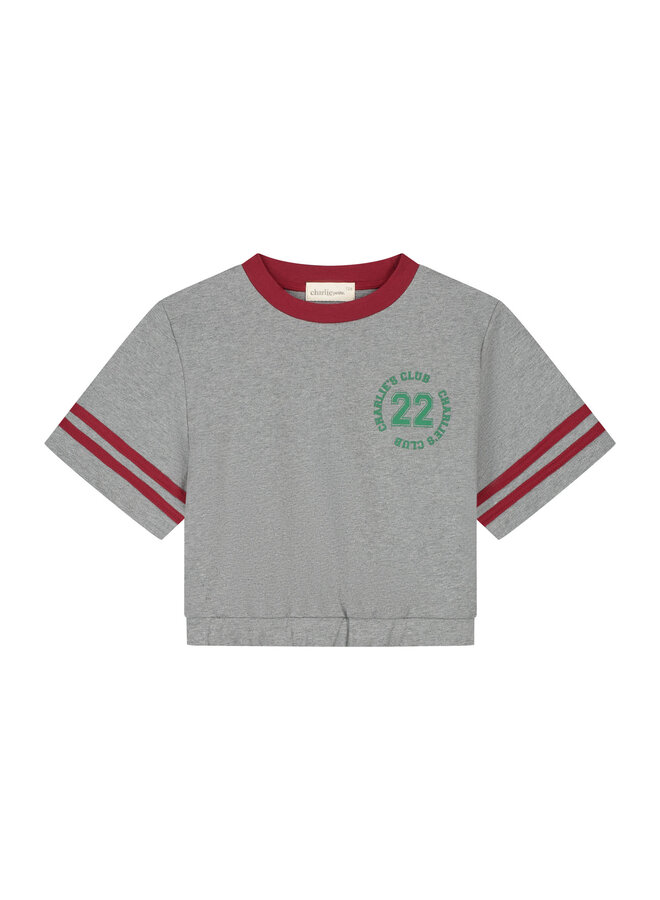 Charlie Petite - Lianne t-shirt - Grey melange