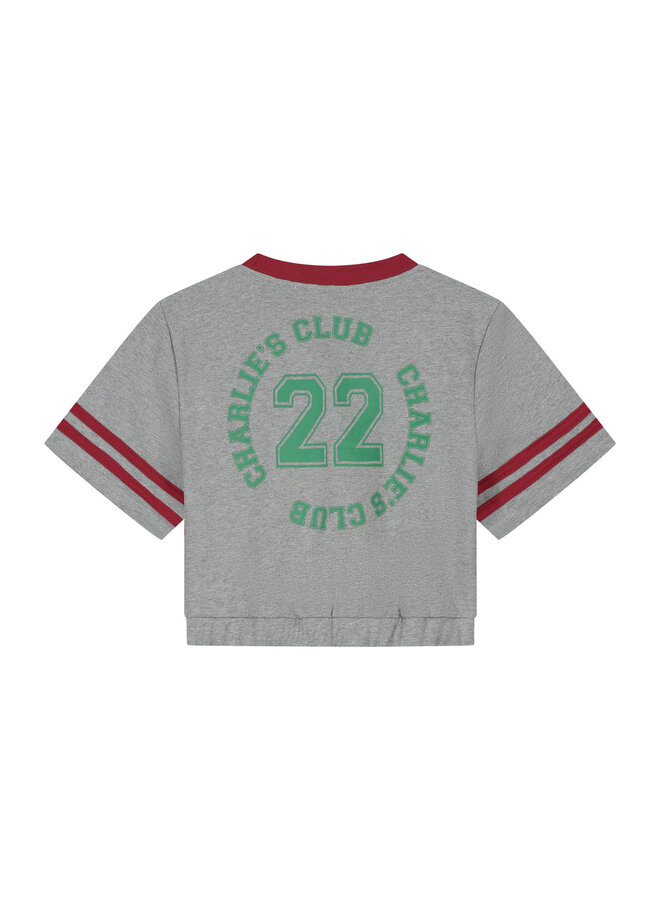 Charlie Petite - Lianne t-shirt - Grey melange