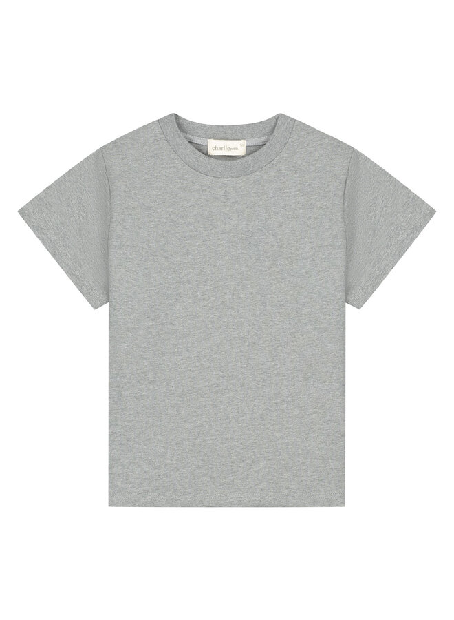 Charlie Petite - Luc t-shirt - Grey melange
