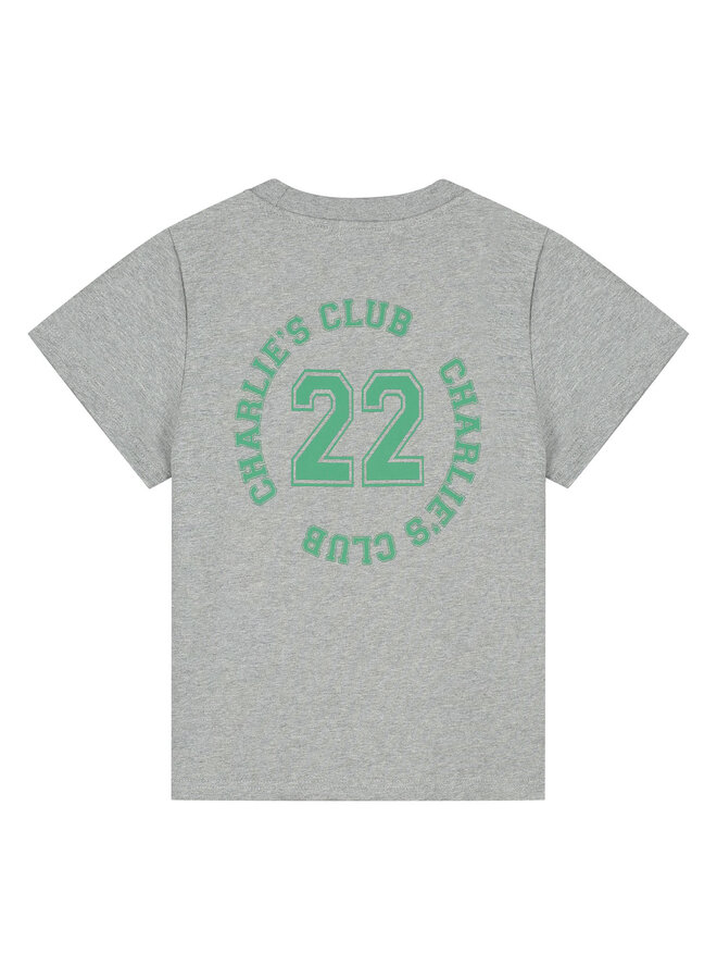 Charlie Petite - Luc t-shirt - Grey melange