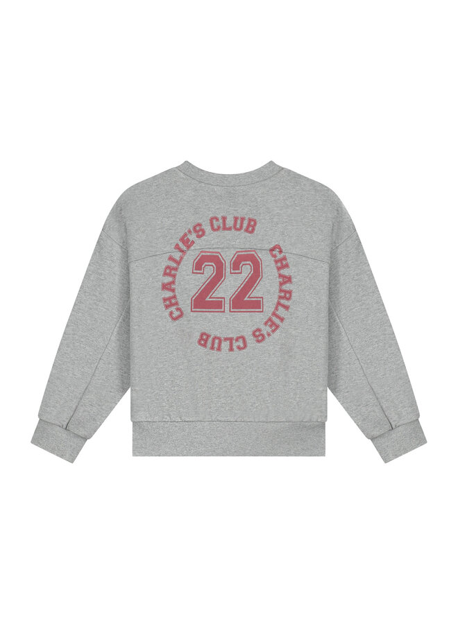 Charlie Petite - Pepe sweater - Grey melange