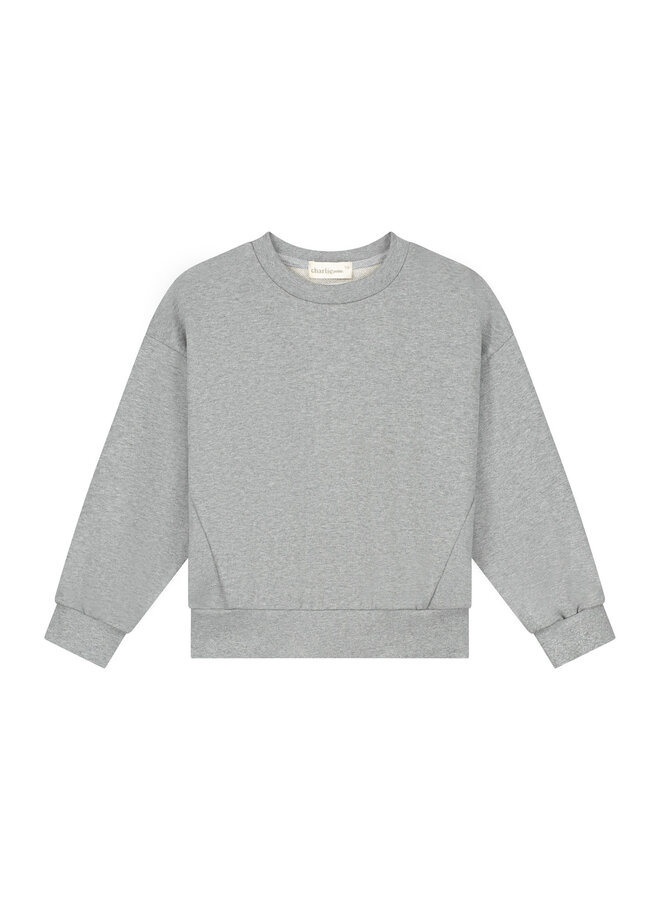 Charlie Petite - Pepe sweater - Grey melange